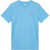 Ice Blue