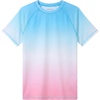 Blue Pink Gradient